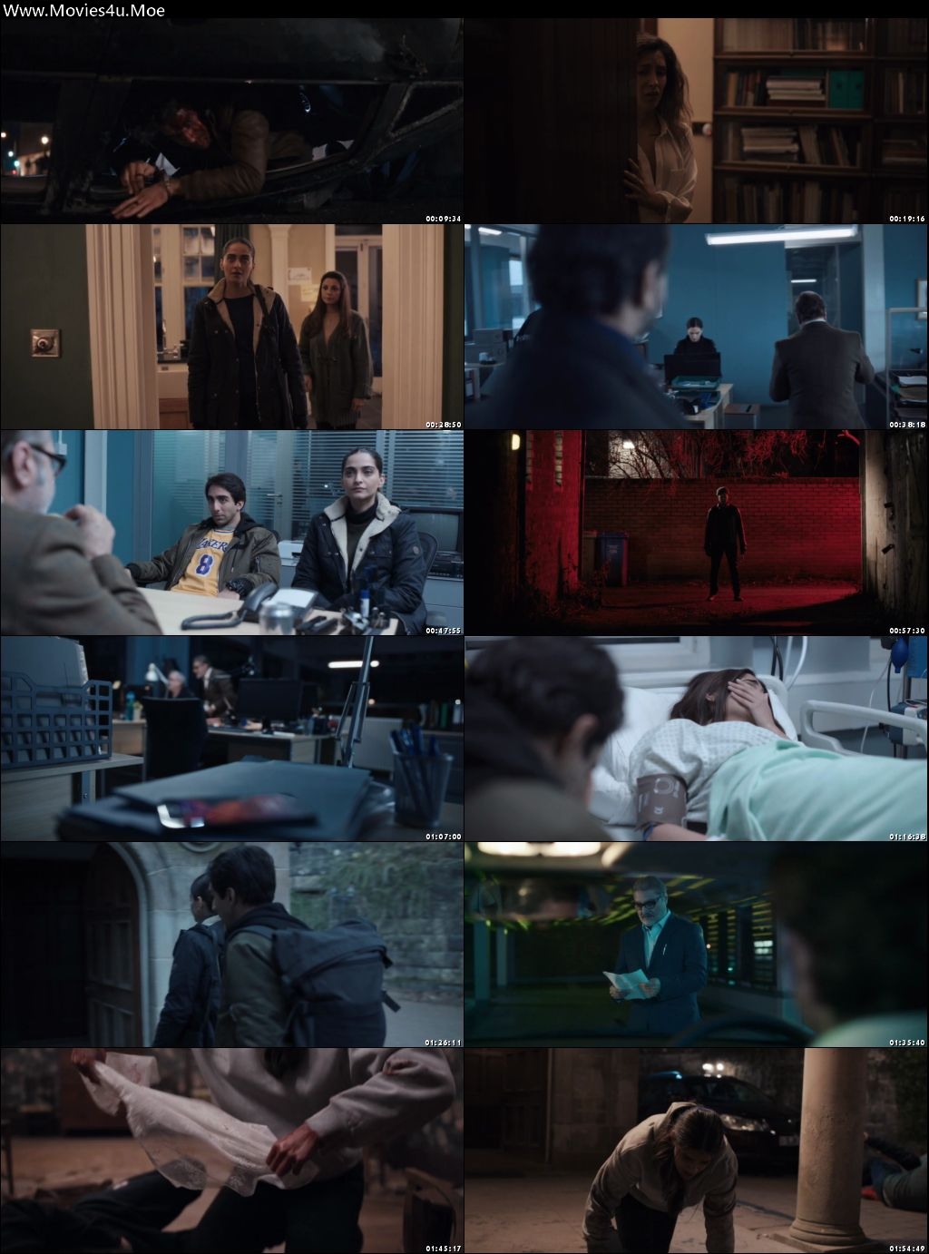 Blind 2023 Hindi HDRip | 720p | 480p Screenshot
